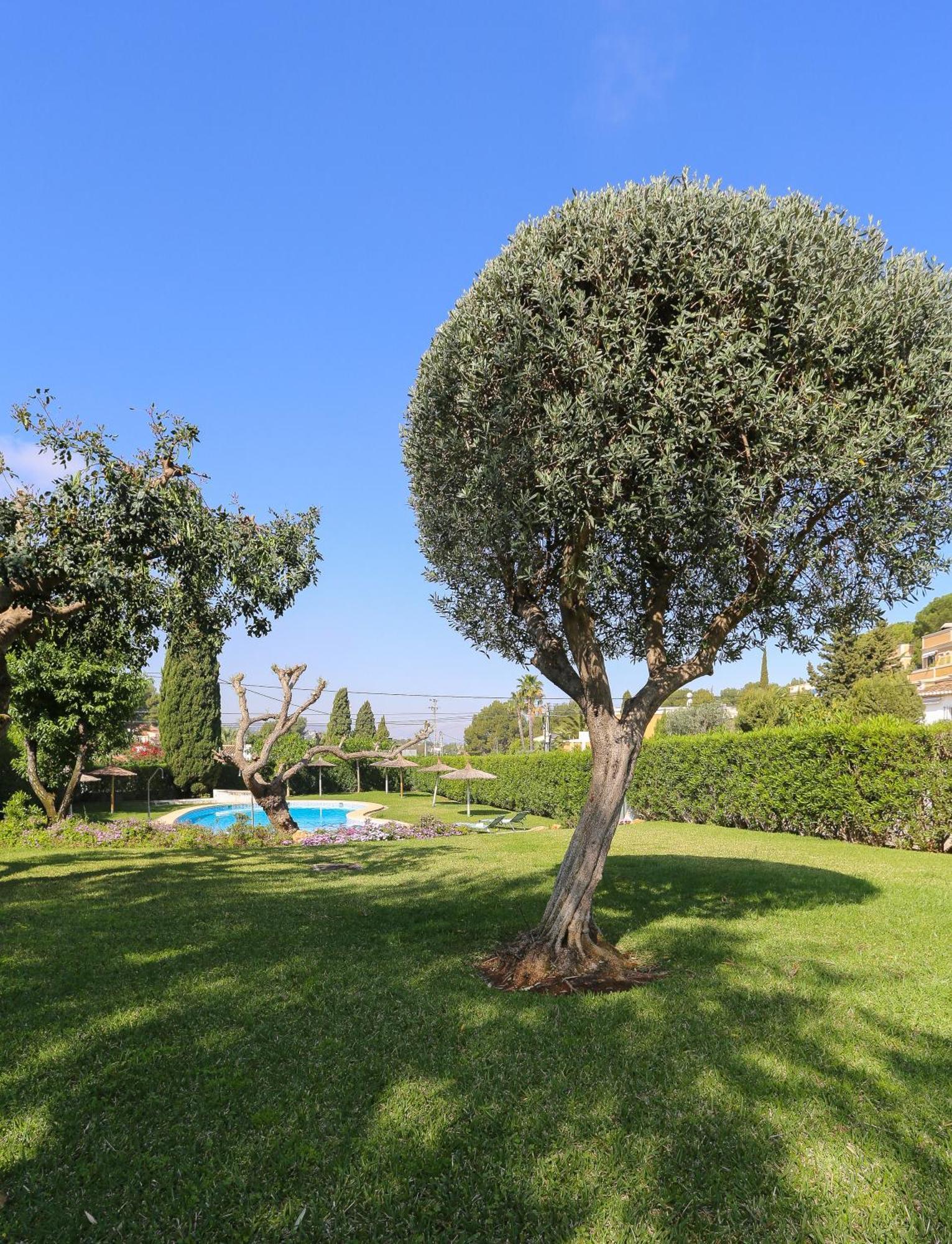 Retiro Sol - Apartamento Montesol B22 Denia Exteriör bild